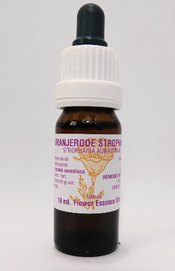 © Bloesem Remedies Nederland © Bloesem Remedies Nederland