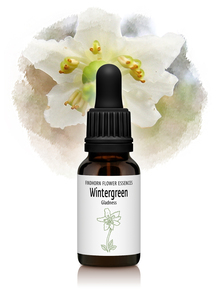 &nbsp;&copy;&nbsp;Findhorn