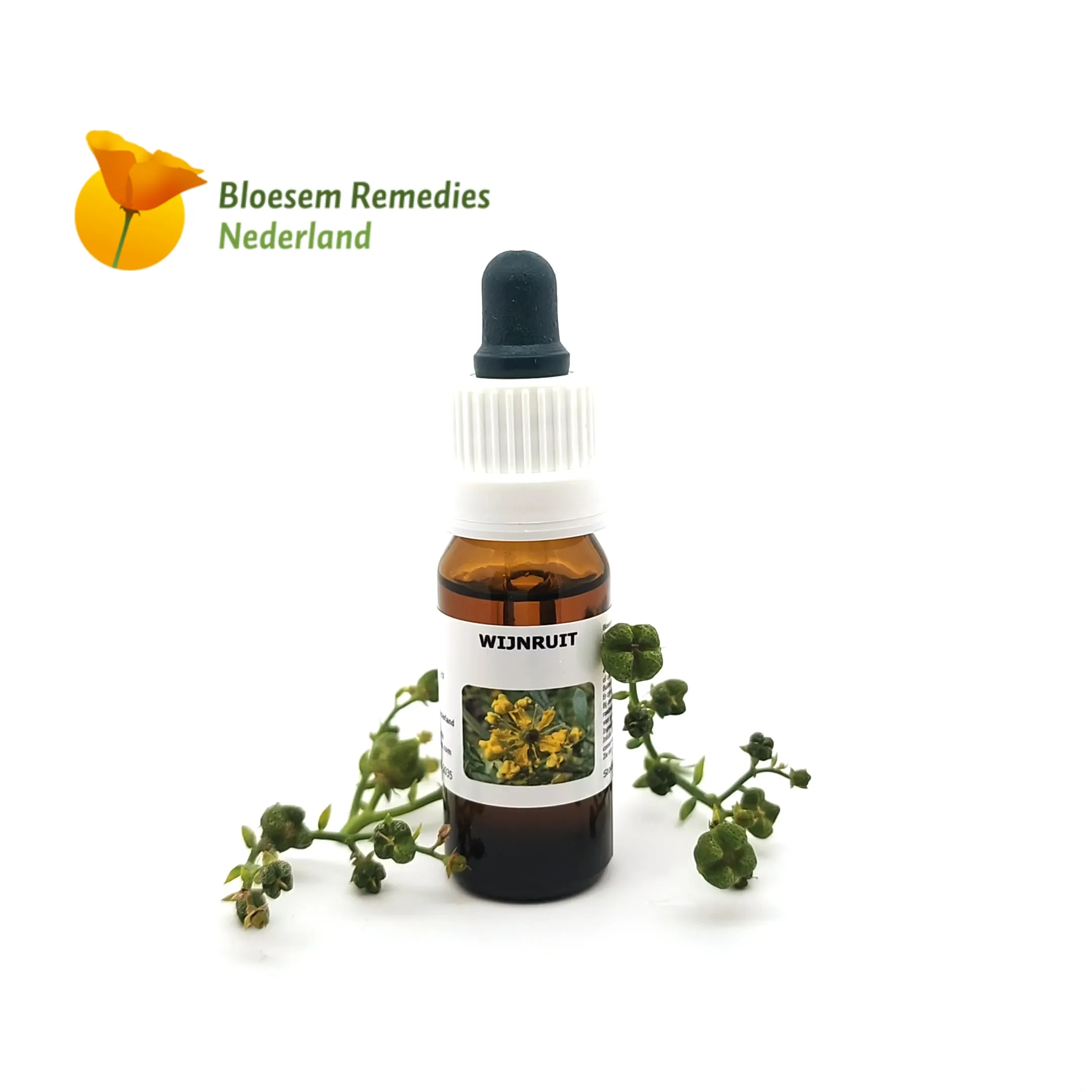 BRN Wijnruit&nbsp;&copy;&nbsp;Bloesem Remedies Nederland