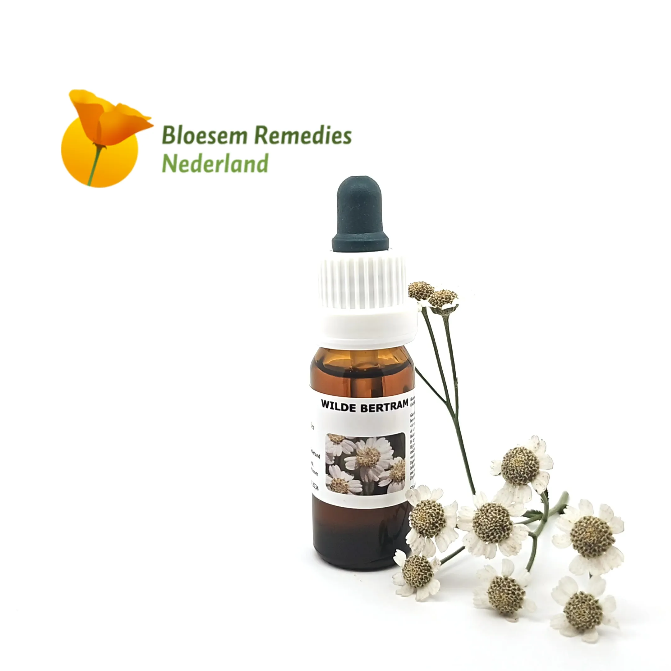 BRN Wilde Bertram&nbsp;&copy;&nbsp;Bloesem Remedies Nederland