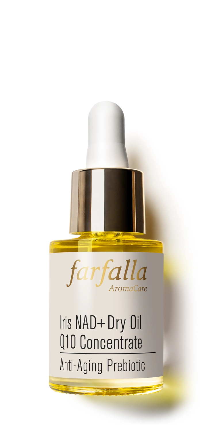 &nbsp;&copy;&nbsp;Farfalla