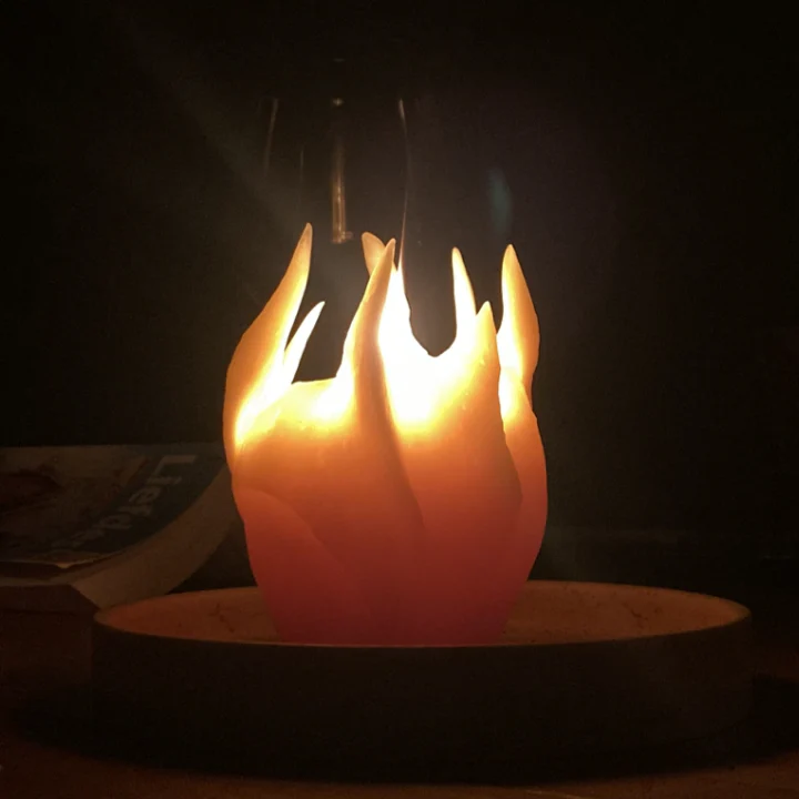 Levensvlam 3&nbsp;&copy;&nbsp;DeMuisjes