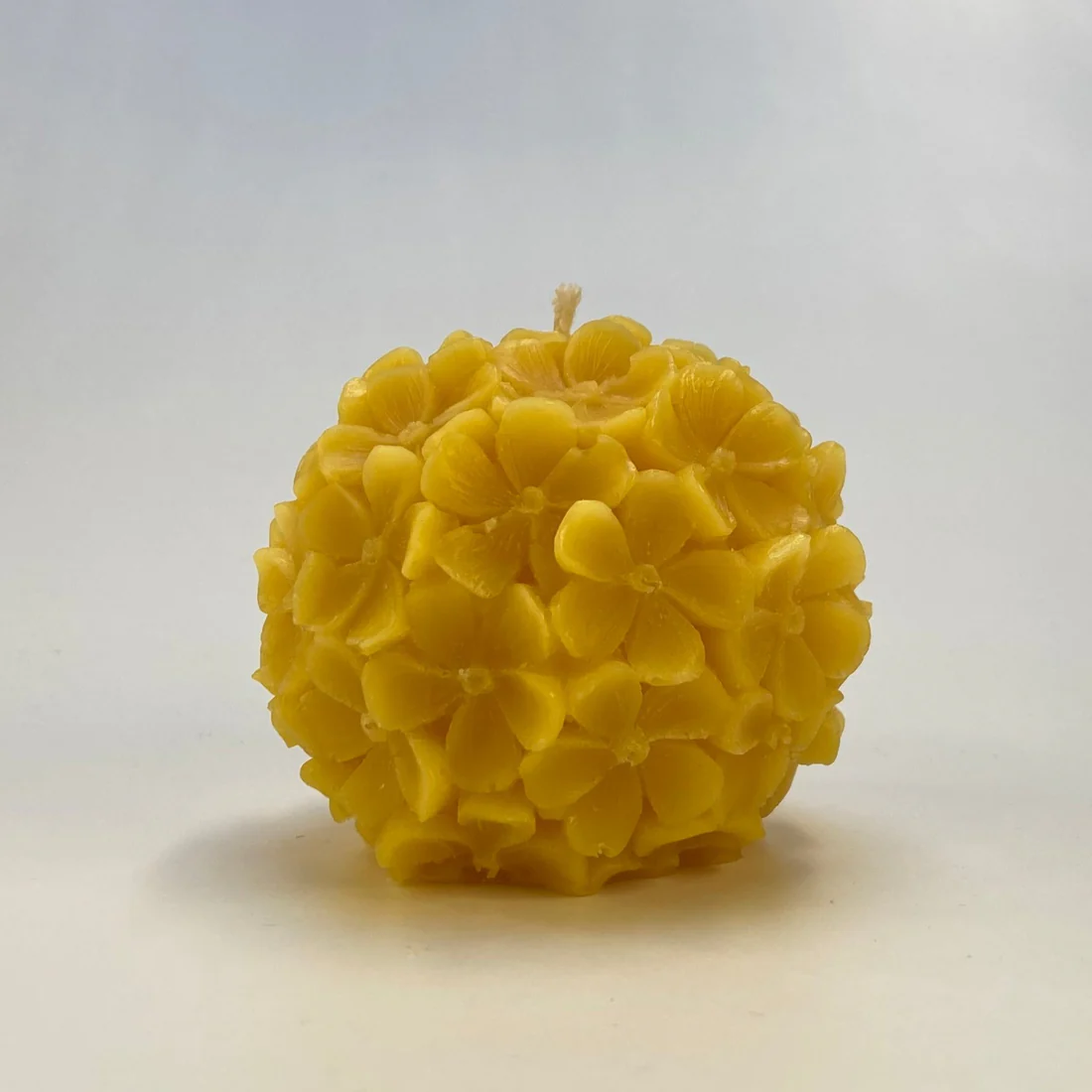 De Bloemenblol © DeMuisjes De Bloemenblol © DeMuisjes