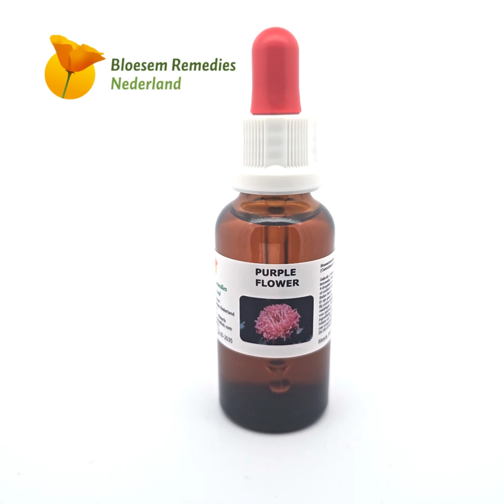 BRN Purple Flower&nbsp;&copy;&nbsp;Bloesem Remedies Nederland